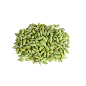 اعشاب وبذور