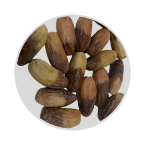 1ك بلح اسواني شامية