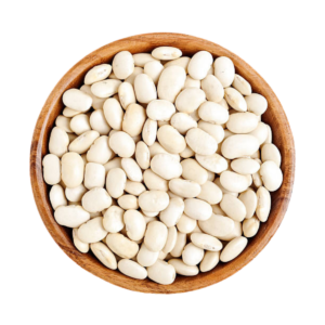 فاصوليا بيضاء