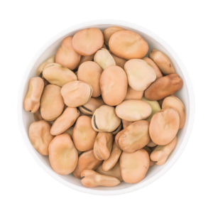 فول تدميس بلدي